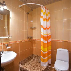Park-Hotel Pushkin 3* Стандартный номер с различными типами кроватей фото 4