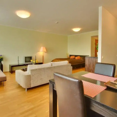 Апартаменты Daily Apartments - Viru Penthouse Люкс с различными типами кроватей фото 16