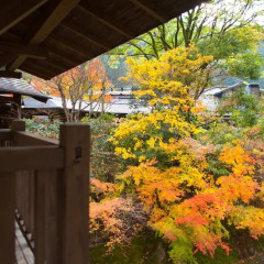Отель Yamabiko Ryokan Минамиогуни фото 5