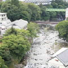 Shiobara Onsen Hotel Насусиобара фото 2