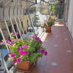 Отель Naxos Holiday Италия, Джардини Наксос - отзывы, цены и фото номеров - забронировать отель Naxos Holiday онлайн балкон