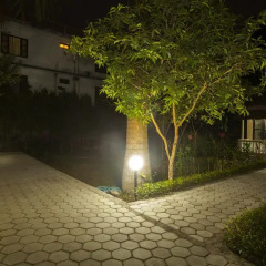 Отель Sauraha Boutique Resort Непал, Саураха - отзывы, цены и фото номеров - забронировать отель Sauraha Boutique Resort онлайн фото 11