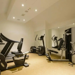 Отель iH Hotels Roma Dei Borgia фитнесс-зал