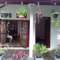 Отель Chelli Homestay интерьер отеля