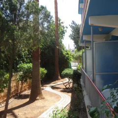 Отель Green Bungalows Hotel Apartments Кипр, Айя-Напа - 6 отзывов об отеле, цены и фото номеров - забронировать отель Green Bungalows Hotel Apartments онлайн фото 2
