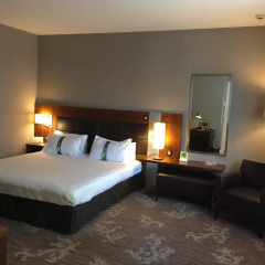 Отель Holiday Inn Nice 4* Стандартный номер с различными типами кроватей