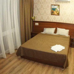 Mini-Hotel Tri Art Стандартный номер с различными типами кроватей фото 22