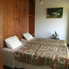 Отель Villa Paola Jamaica Стандартный номер с различными типами кроватей фото 6