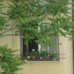 Kapri Hotel София