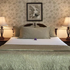 Отель Lavender Inn by the Sea 2* Стандартный номер с различными типами кроватей фото 2