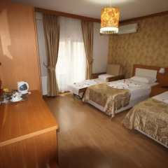 Flower Palace Hotel 3* Стандартный номер с различными типами кроватей фото 4