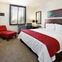 Отель Holiday Inn Express Guadalajara Autonoma комната для гостей фото 5
