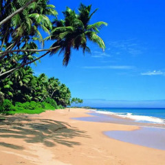 Апартаменты Ocean Breeze Apartment Colombo пляж фото 2