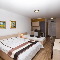 Апартаменты Apartments Marija Студия с различными типами кроватей фото 8