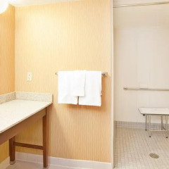 Отель Hampton Inn Gateway Arch Downtown 3* Стандартный номер с различными типами кроватей фото 13