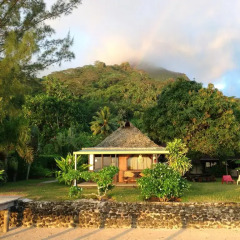 Отель Linareva Moorea Beach Resort Французская Полинезия, Муреа - отзывы, цены и фото номеров - забронировать отель Linareva Moorea Beach Resort онлайн фото 10