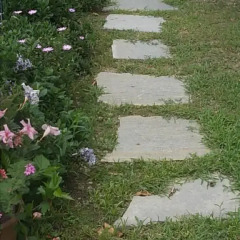Отель Le Clementine B&B Камогли парковка