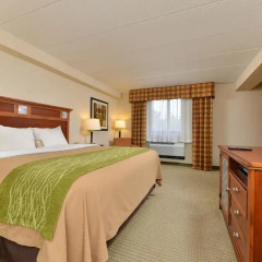 Отель Comfort Inn Washington Dulles International комната для гостей фото 5