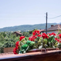 Отель Guest House Saint Dimitar Болгария, Боровец - отзывы, цены и фото номеров - забронировать отель Guest House Saint Dimitar онлайн балкон