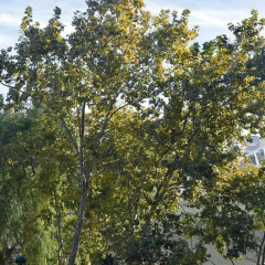 Отель Valencia Suits You B&B Испания, Валенсия - отзывы, цены и фото номеров - забронировать отель Valencia Suits You B&B онлайн