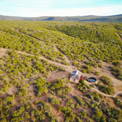 Отель Harmony Game Lodge Южная Африка, Аддо - отзывы, цены и фото номеров - забронировать отель Harmony Game Lodge онлайн приотельная территория фото 2