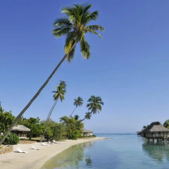 Отель InterContinental Resort and Spa Moorea 4* Стандартный номер с различными типами кроватей фото 6