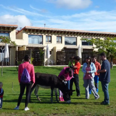 Отель Rural Bioclimático Sabinares del Arlanza Испания, Когольос - отзывы, цены и фото номеров - забронировать отель Rural Bioclimático Sabinares del Arlanza онлайн детские мероприятия фото 2