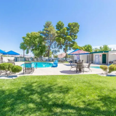 Отель Las Vegas Camping Resort Cabin 2 США, Лас-Вегас - отзывы, цены и фото номеров - забронировать отель Las Vegas Camping Resort Cabin 2 онлайн бассейн фото 2