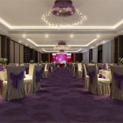 Отель White Dolphin Hotel Китай, Сямынь - отзывы, цены и фото номеров - забронировать отель White Dolphin Hotel онлайн помещение для мероприятий фото 2