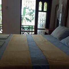 Traveller's Home Hotel 3* Номер Делюкс с двуспальной кроватью фото 10