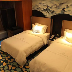 Yingshang Fanghao Hotel 3* Номер Бизнес с 2 отдельными кроватями фото 10