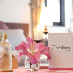 Отель Christinas Hoi An Tra Que Riverside Villas Хойан удобства в номере