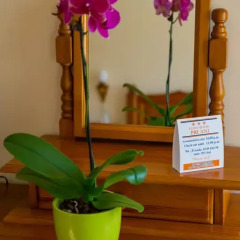 Отель Pri Ani Guest House 3* Стандартный номер с различными типами кроватей фото 4