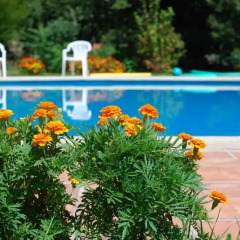 Отель Casa de Abbades бассейн фото 2