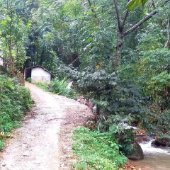 Отель Hoang Kim Homestay Шапа фото 14
