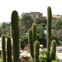 Отель Bed and Breakfast Le Palme Агридженто