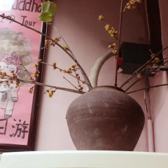 Chengdu Mrs Panda Hostel интерьер отеля фото 2