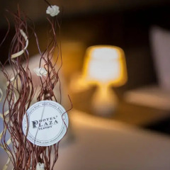 Plaza Hotel интерьер отеля
