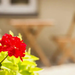 Отель Vilnius Private Stay Улучшенные апартаменты с различными типами кроватей фото 2