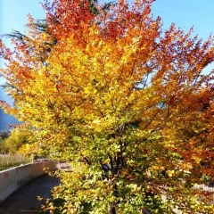 Отель Oberschoeberlehof Меран фото 12