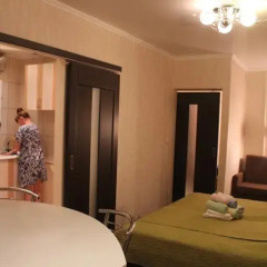 Гостиница Lenina 3kA в Железноводске отзывы, цены и фото номеров - забронировать гостиницу Lenina 3kA онлайн Железноводск комната для гостей фото 5