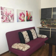 Гостиница Omela Family Апартаменты с различными типами кроватей фото 18