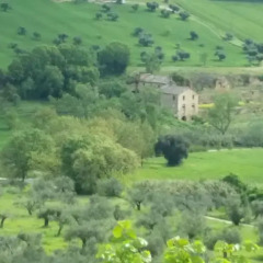 Отель Art B&B Чивитанова-Марке фото 2