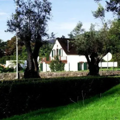 Отель Vila Joaninha Машику фото 11