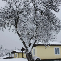 Отель Daskalov Bungalows Боженци фото 8