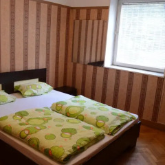 Elegance Hostel and Guesthouse Номер Комфорт с различными типами кроватей фото 7