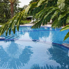 Отель Chachagua Rainforest Ecolodge бассейн фото 3