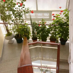 Отель Alegria Flat