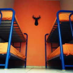 Blue Pepper Hostel Chapultepec Кровать в женском общем номере фото 2