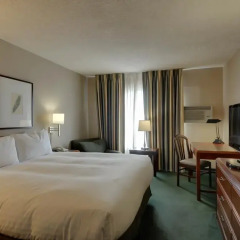 Отель Vagabond Inn San Diego Airport/Marina комната для гостей фото 8